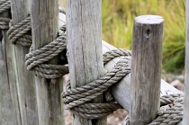 fences