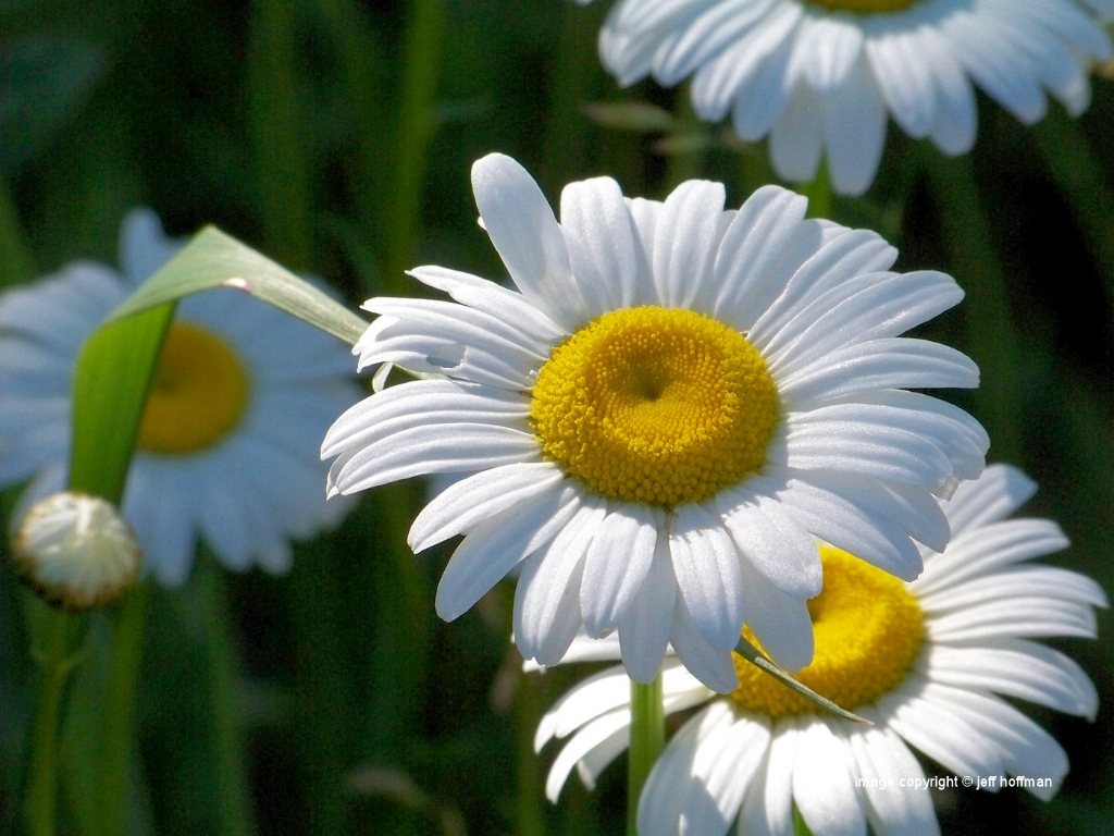 053109_228