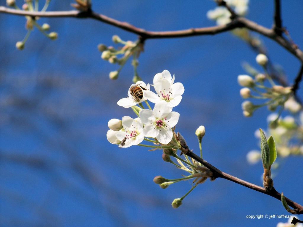 20090327_7