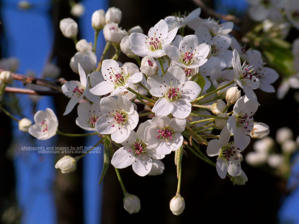20090330_28