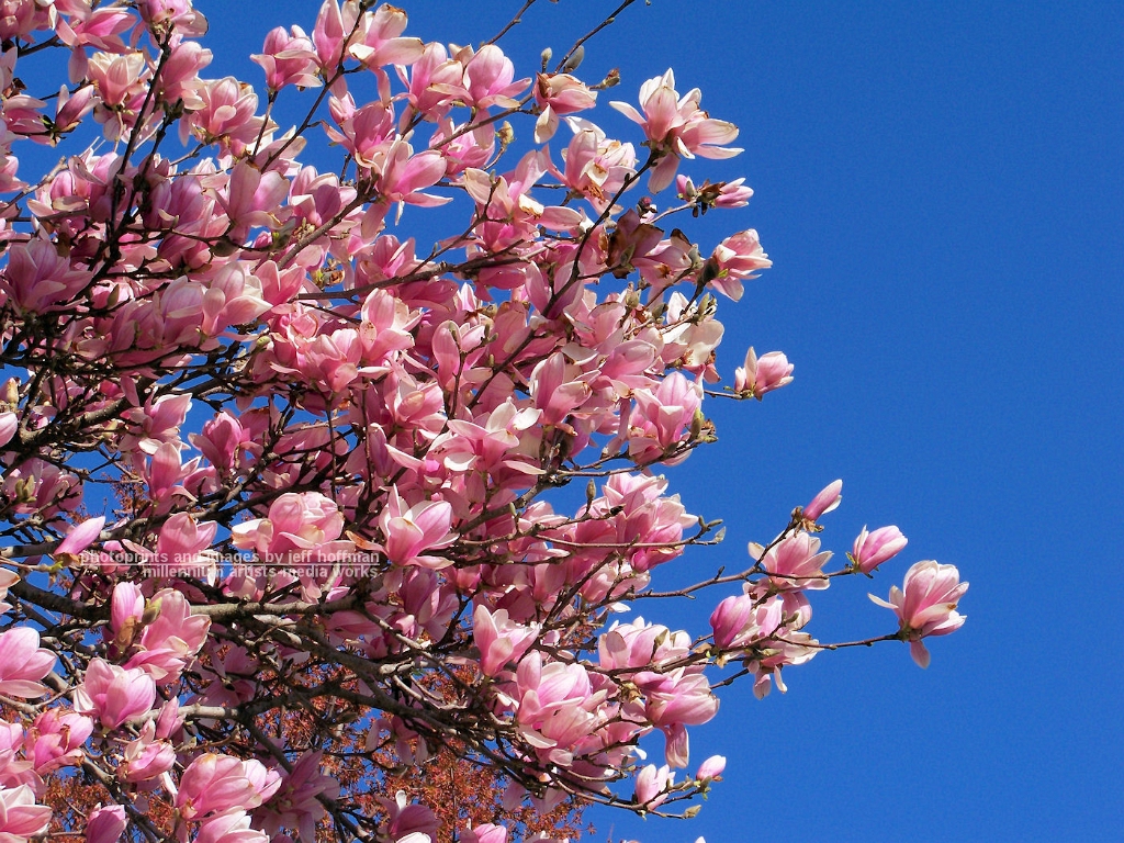 20090404_10