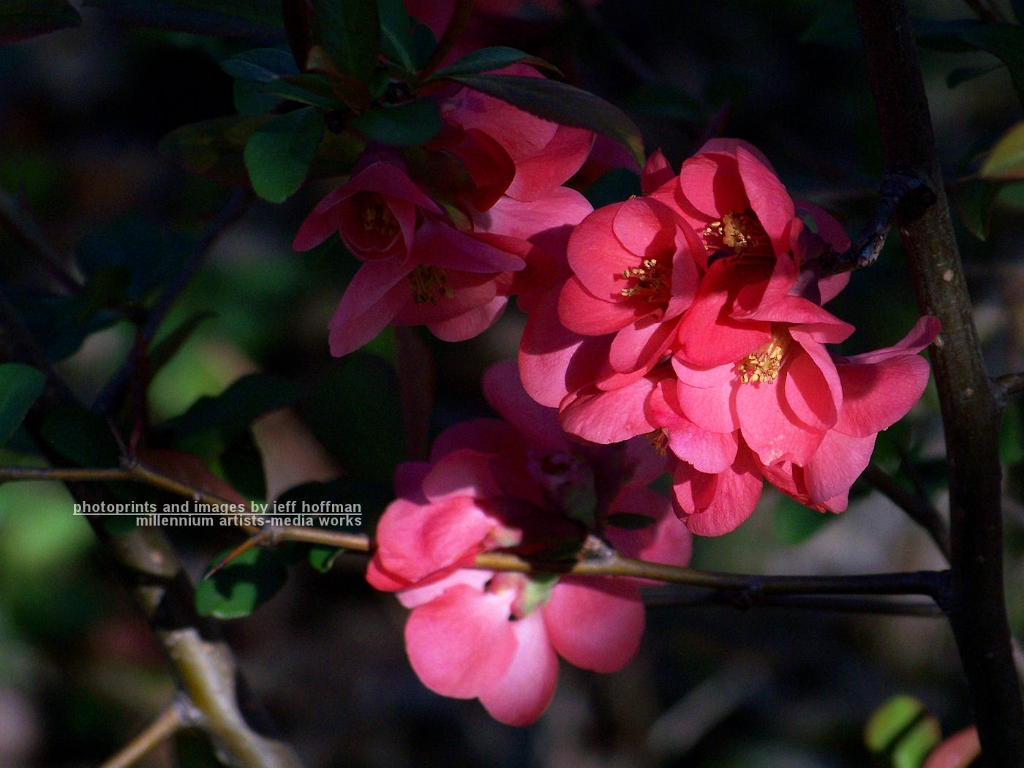 20090404_38