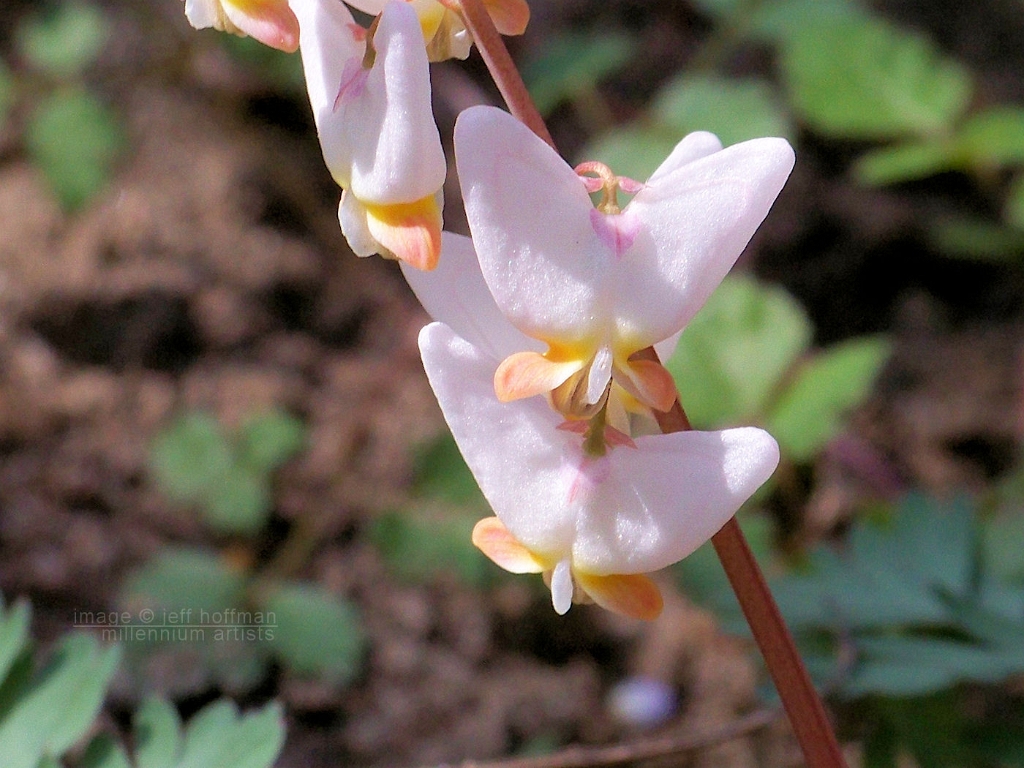 20110409_20