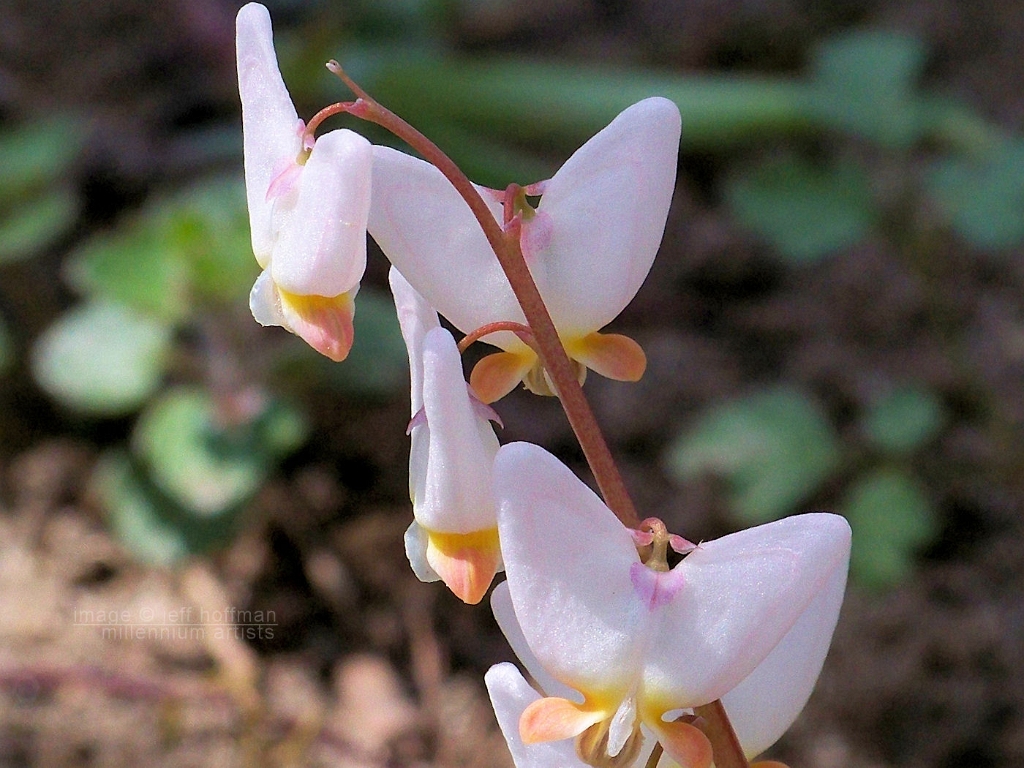 20110409_21