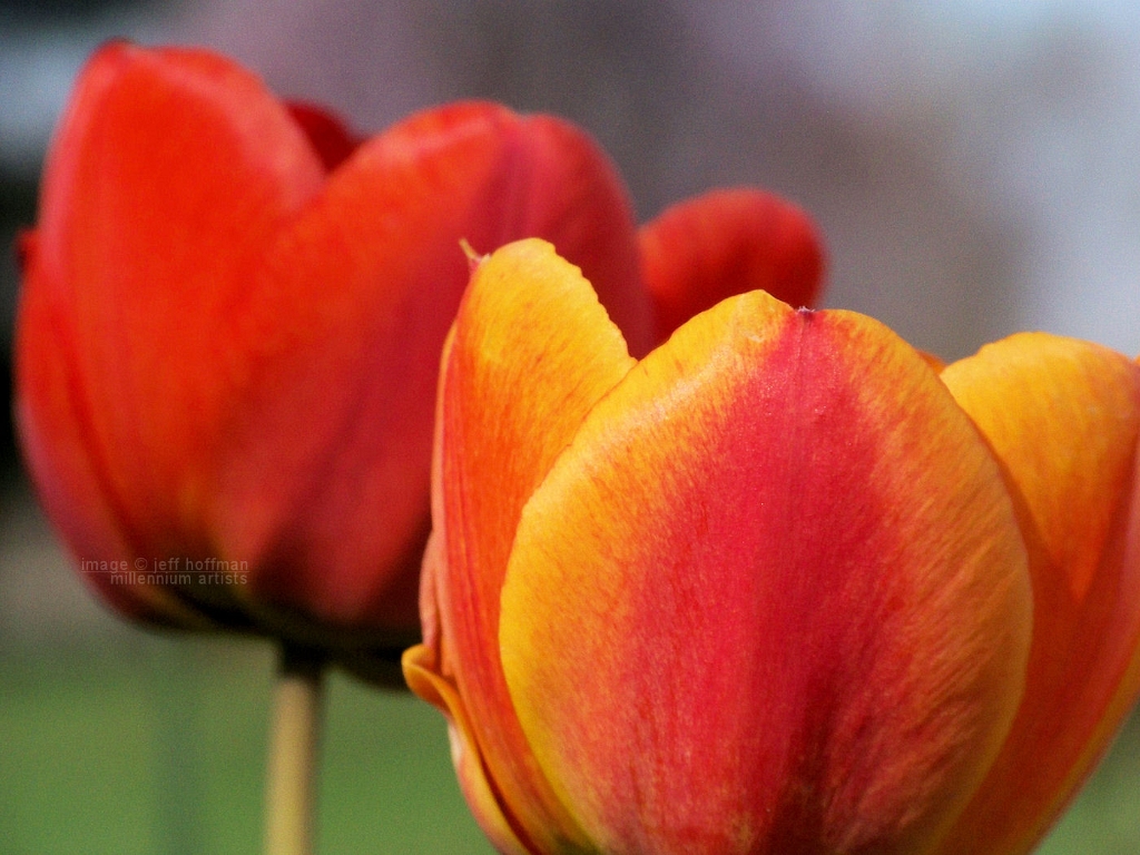 20110413_52
