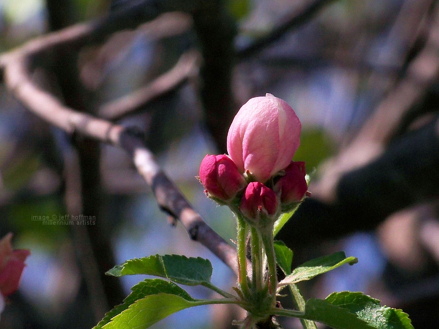20110417_106