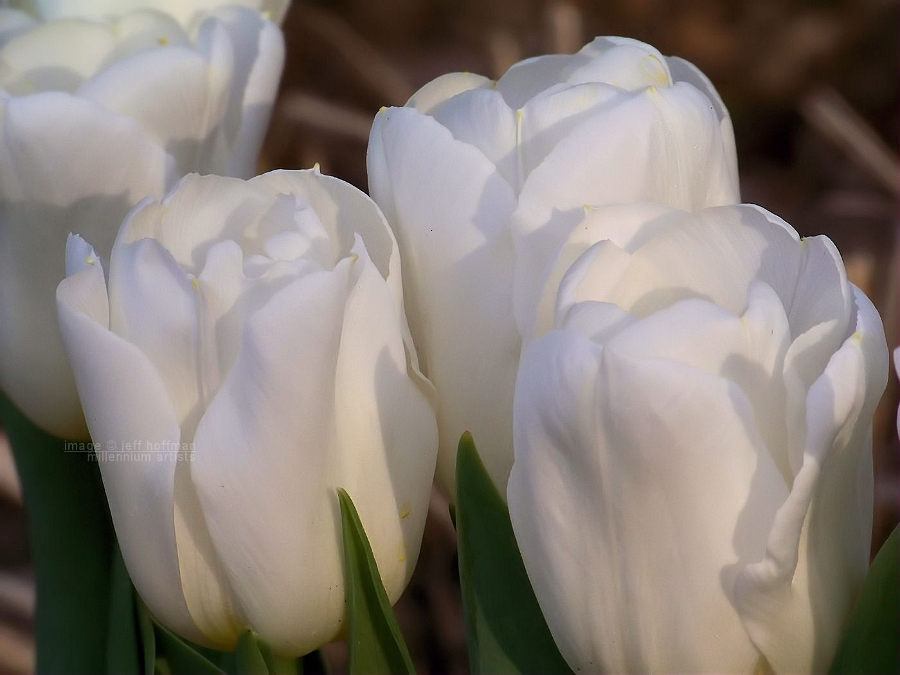 20110417_116