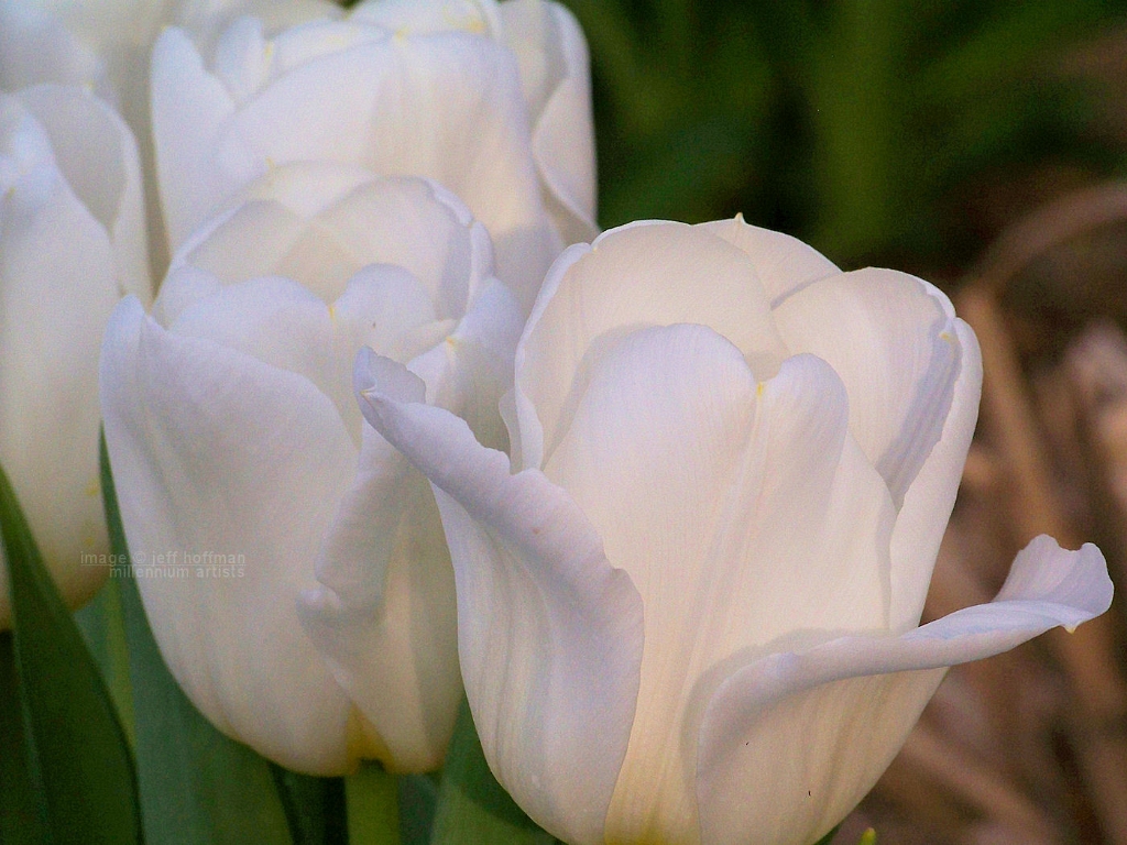 20110417_117