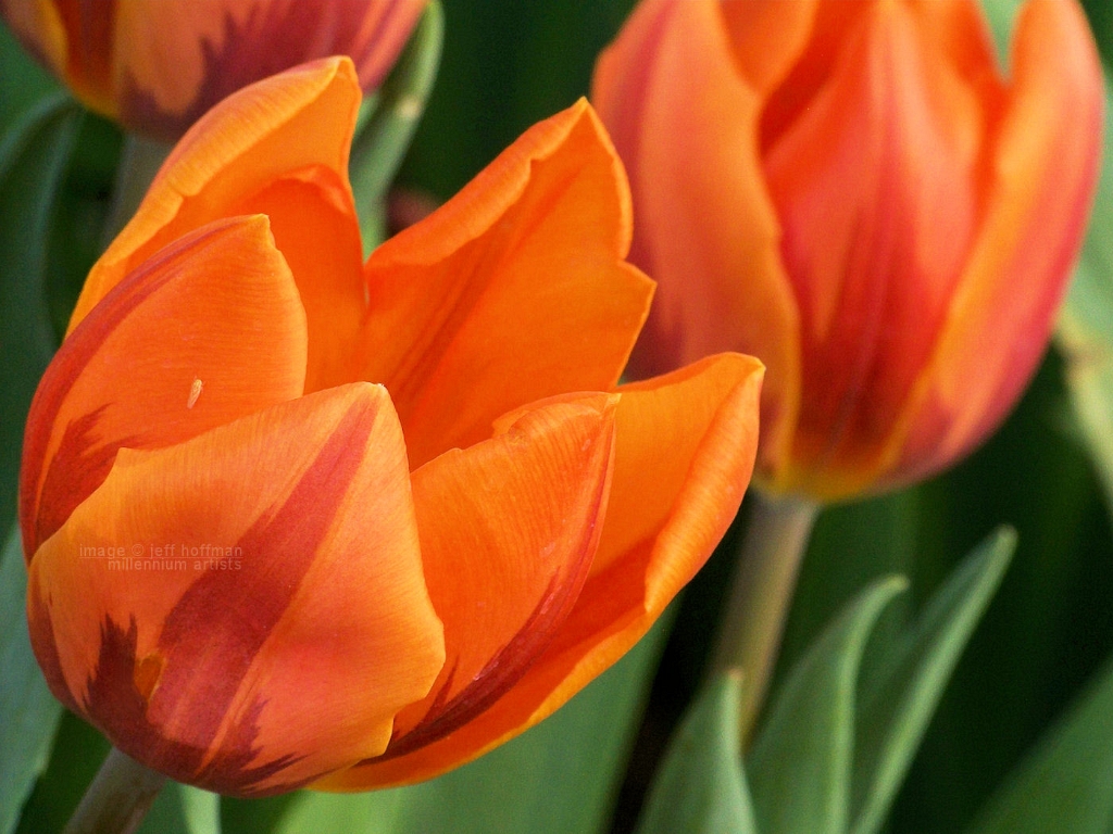 20110417_124