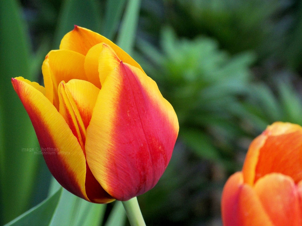 20110417_126