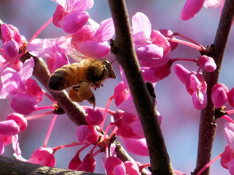 20110417_80