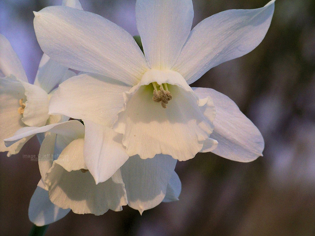 20110421_6