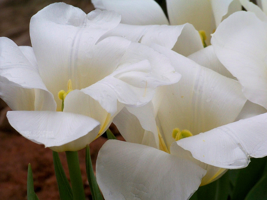 20110423_20