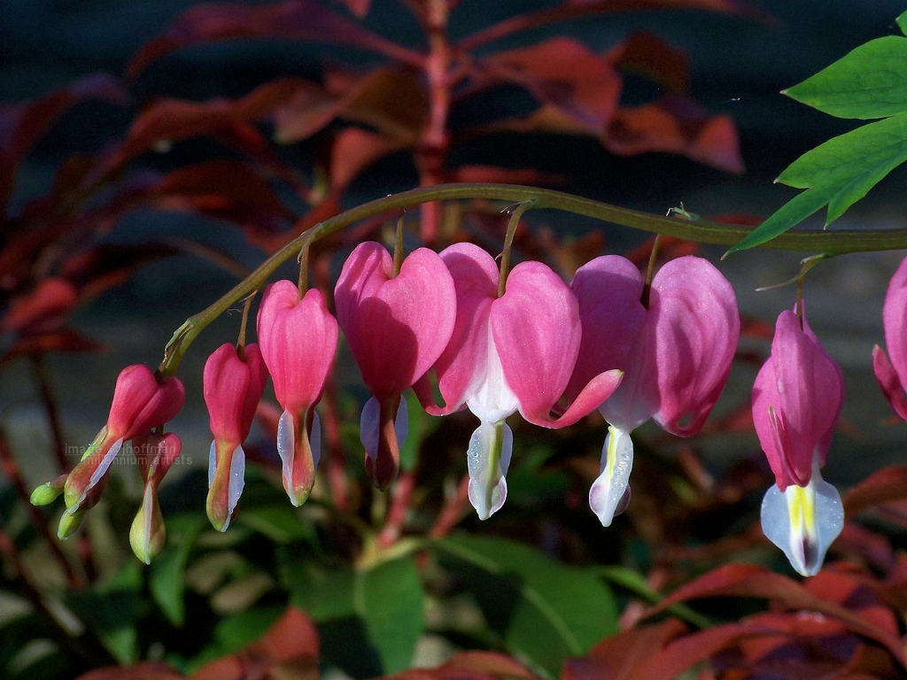 20110426_14