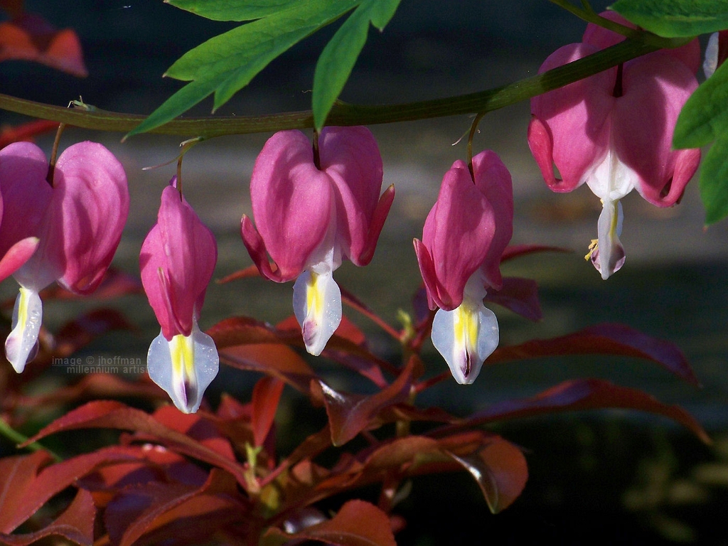 20110426_15