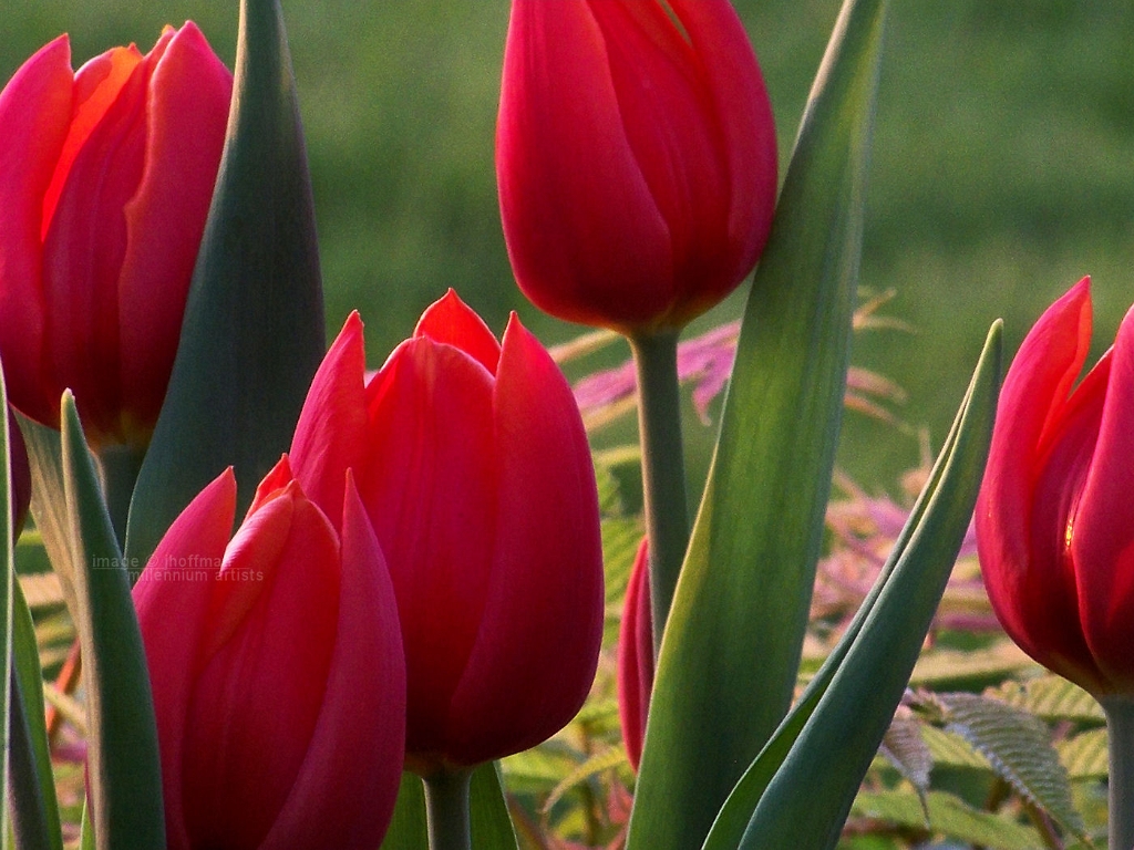 20110426_50