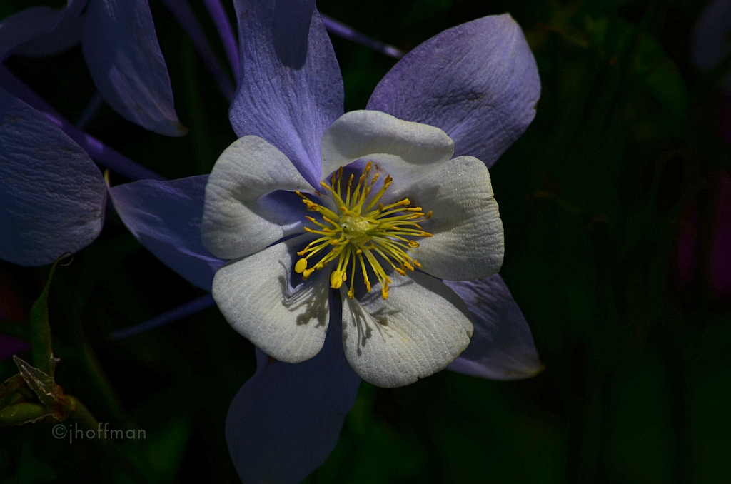 20110429_17