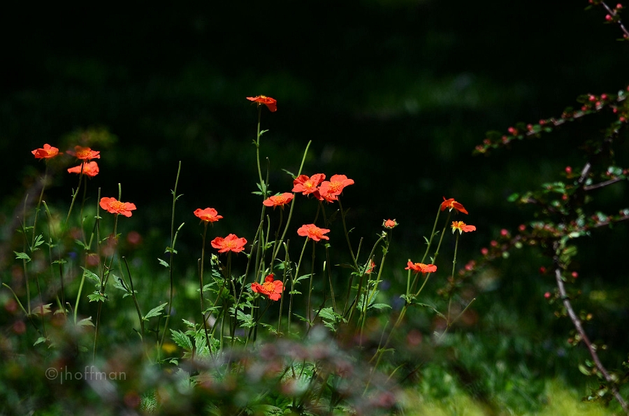 20110429_49