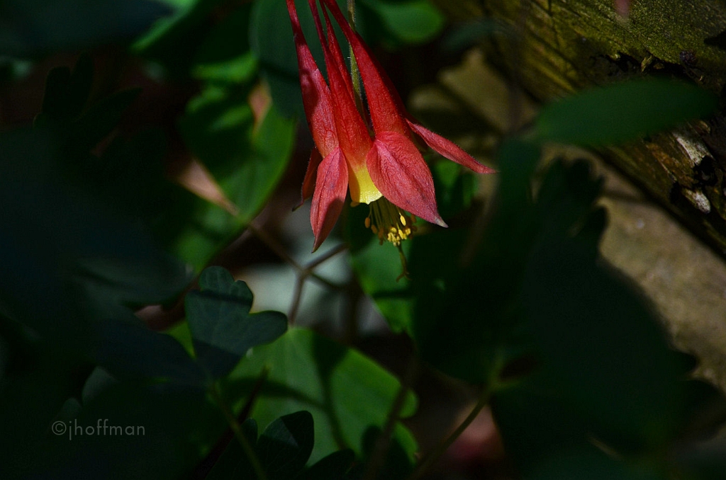 20110429_99