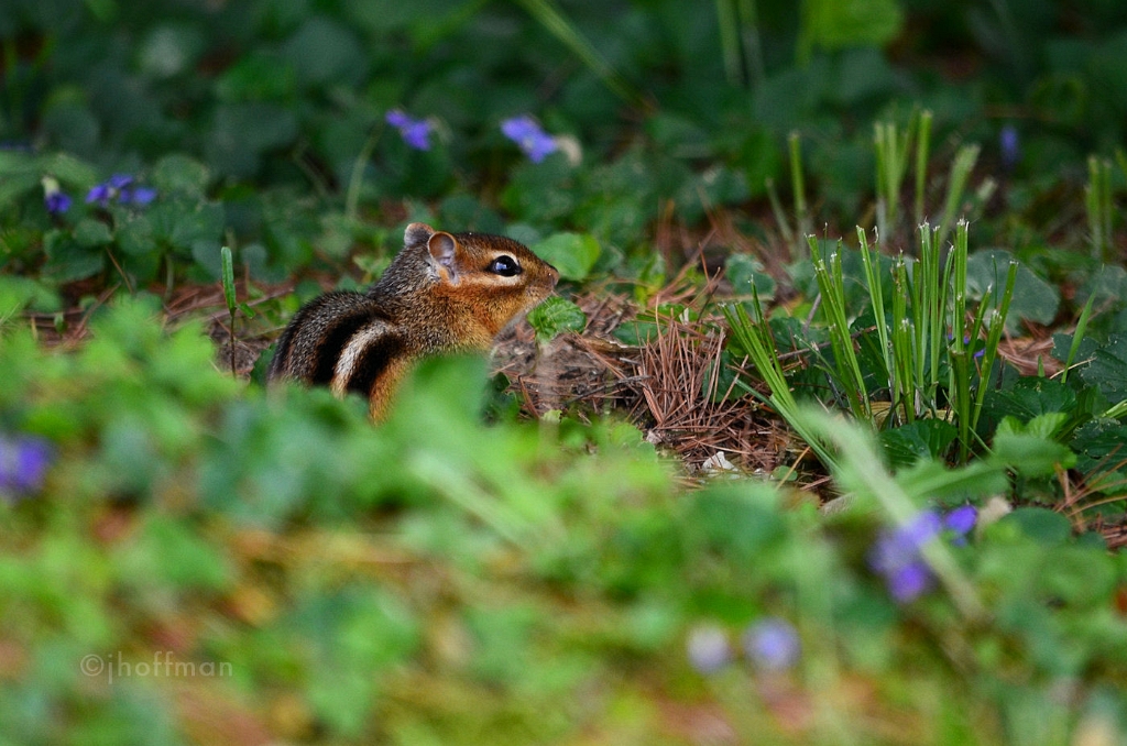 20110505_190