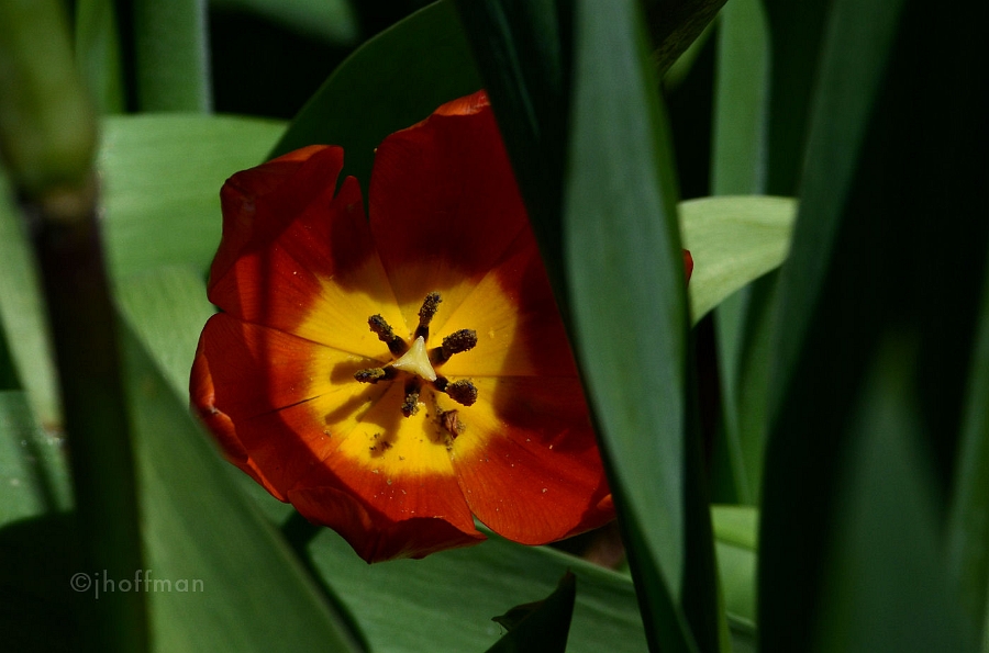 20110505_84