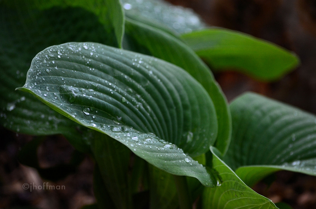 20110508_106