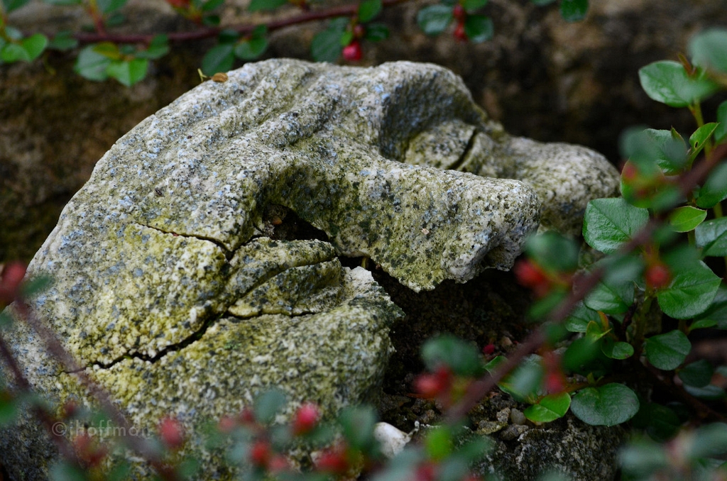 20110508_252
