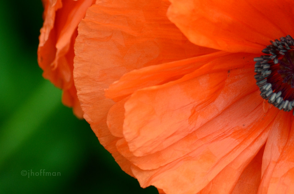 20110508_296