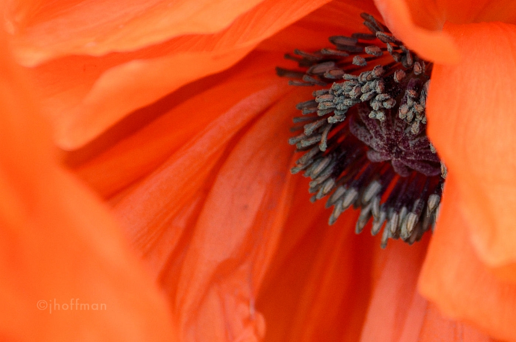 20110508_310