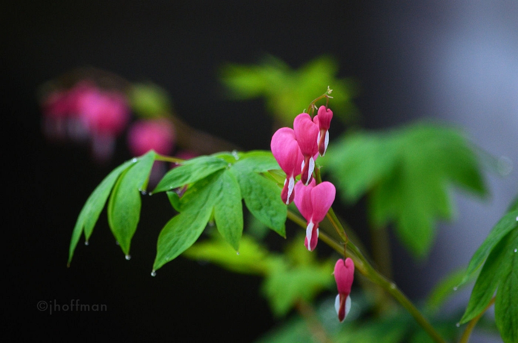 20110508_40