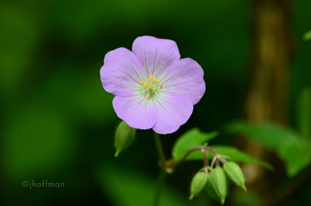 20110508_422