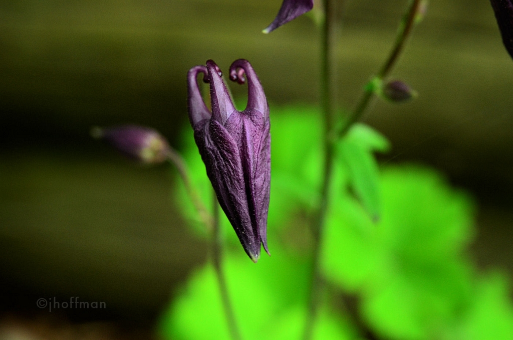 20110509_212