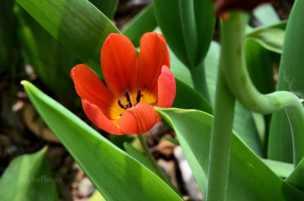 20110509_240