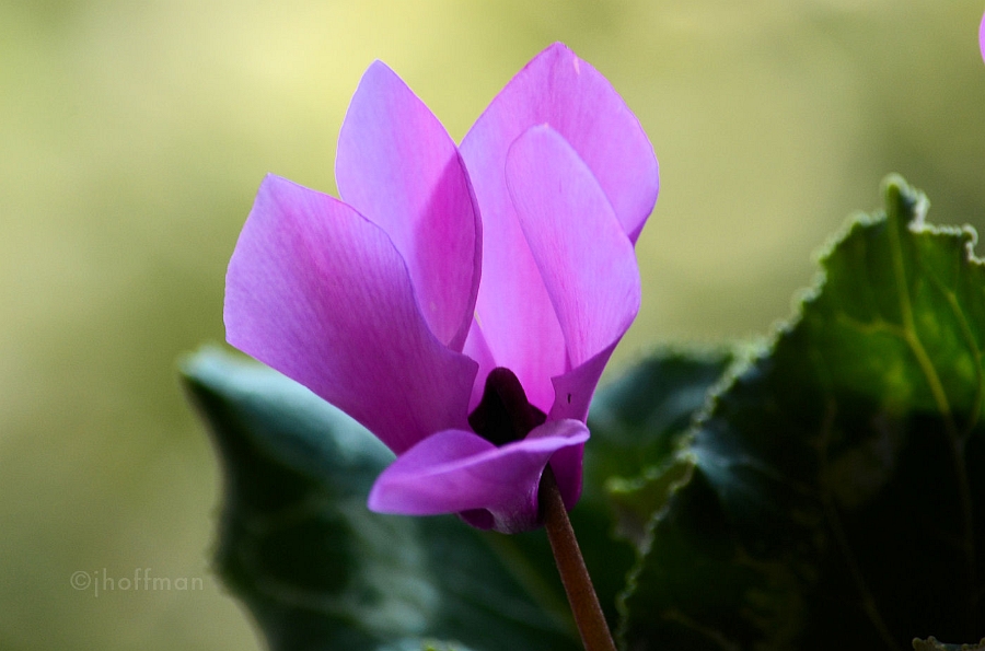 20110509_28