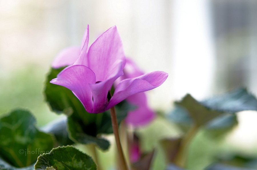 20110509_296