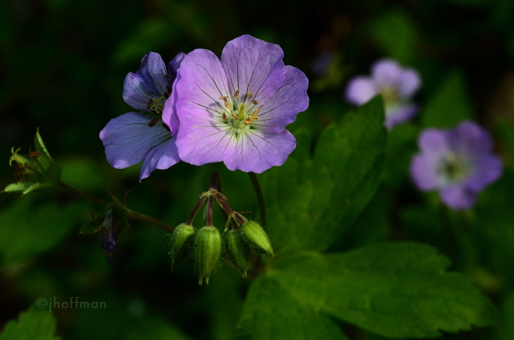 20110509_376
