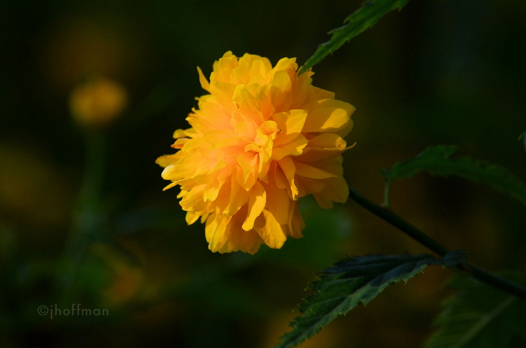 20110509_64