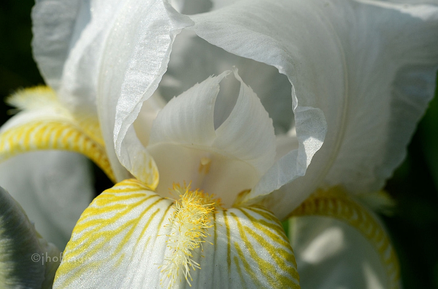 20110511_164