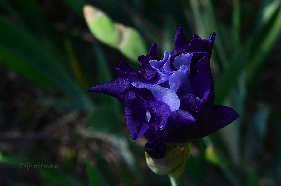 20110511_168