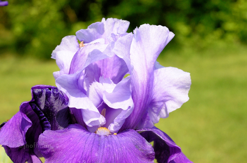 20110511_190