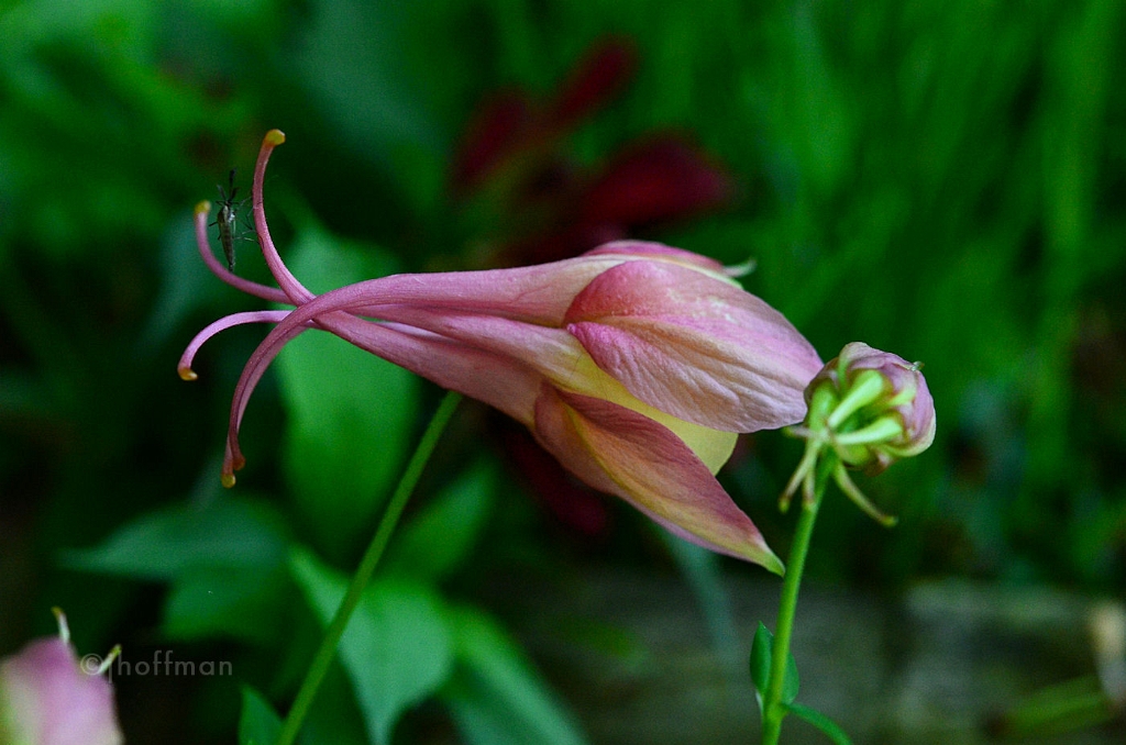 20110511_80