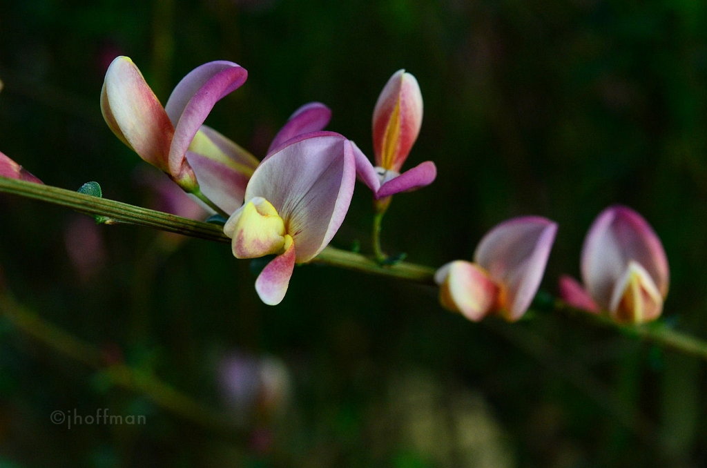 20110512_204