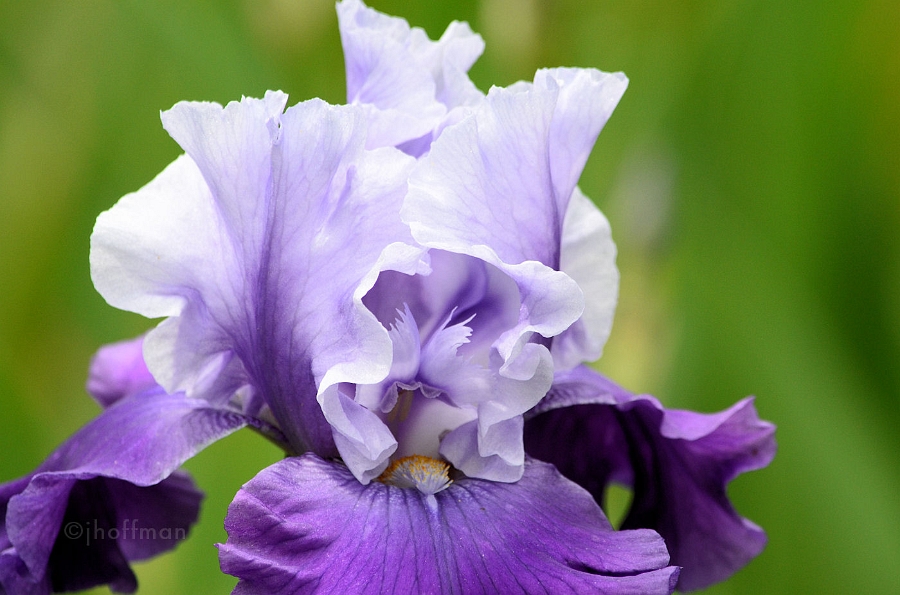 20110512_66