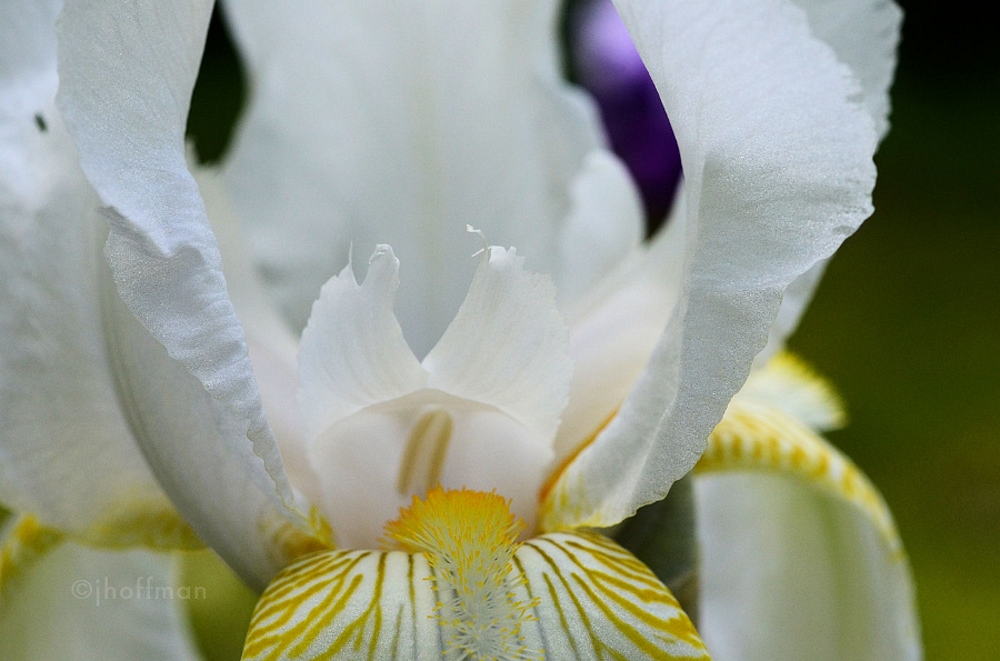 20110514_174