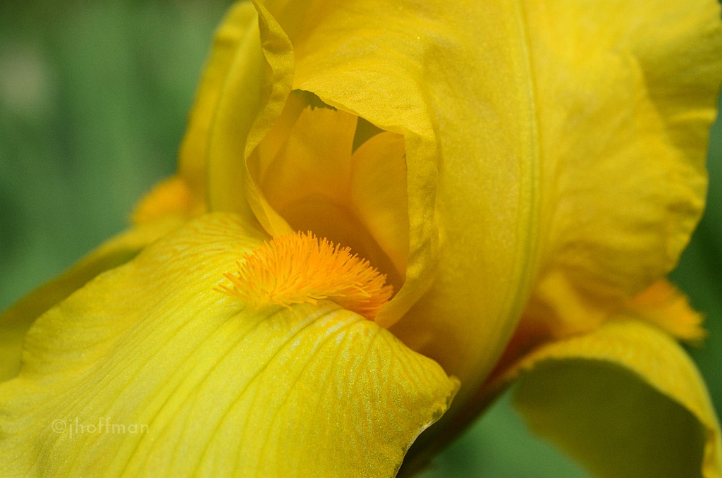 20110514_184