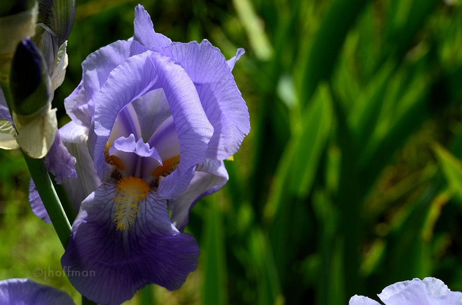 20110514_217