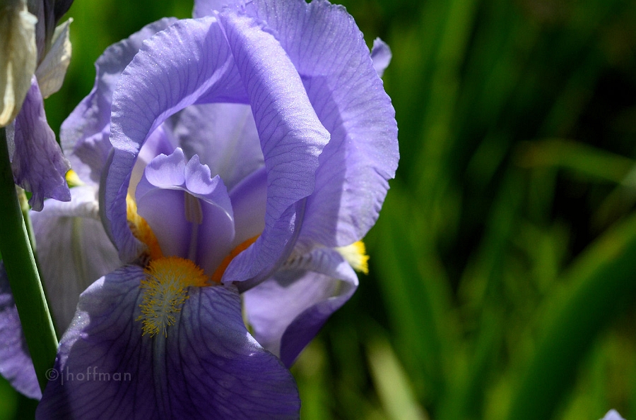 20110514_218