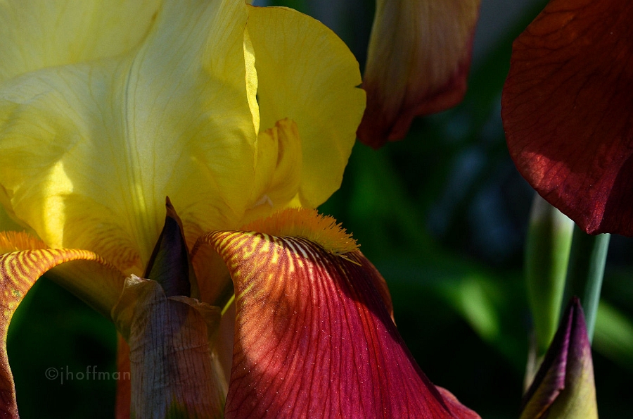 20110514_60