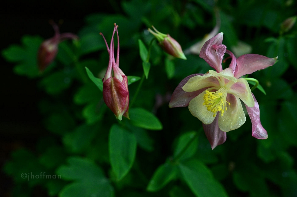 20110515_42