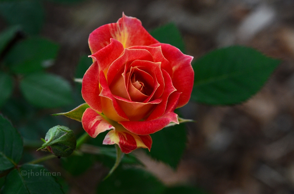 20110519_122